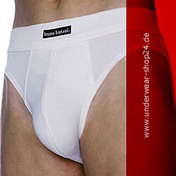 Minibrief dynamic