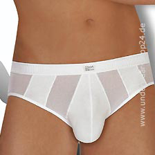 Brief Hot Net