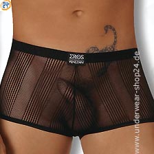 Pants Striped Net