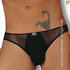 Brief Striped Net