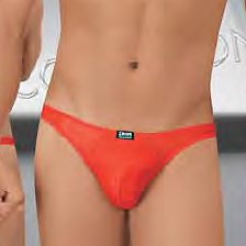 Thong Spider