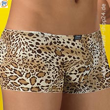 Pants Wild