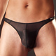 Pushup Thong M101