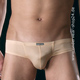 Micropo Brief Curious