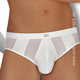 Brief Hot Net