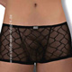 Minipant Transparent Cover