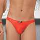 Thong Spider