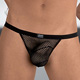 Tanga Black Hole